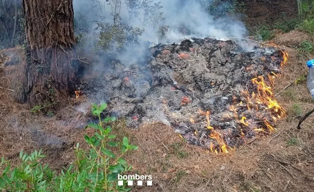 98b7eda5-a9c2-4db3-91fa-b6a9db75f115_16-9-aspect-ratio_1200w_0